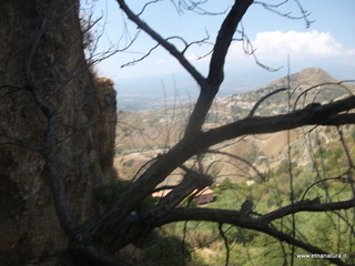 Cocolonazzo di Mola